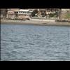 IMG_6499
3/21/2007 1:32:57 PM